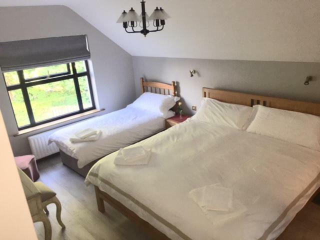 Ivy House Appartement Galway Buitenkant foto