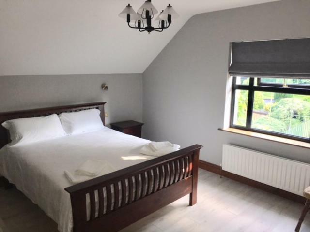 Ivy House Appartement Galway Buitenkant foto